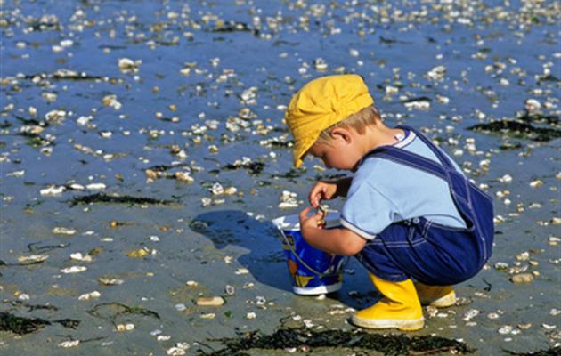 La pêche à pied Les Moutiers-en-Retz - 