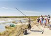 Visiter les marais salants de la Presqu'île de Guérande