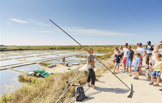 Visiter les marais salants de la Presqu'île de Guérande - 